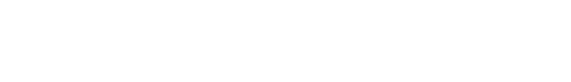 Master Implementers